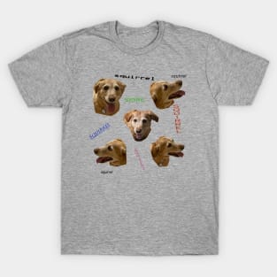 Squirrel!! T-Shirt